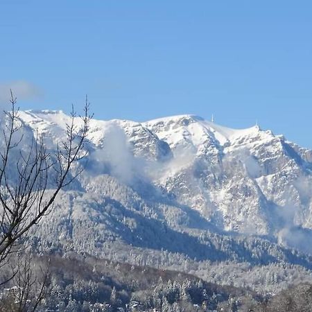 Sinaia Alpineview Residence Bagian luar foto