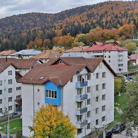 Sinaia Alpineview Residence Bagian luar foto