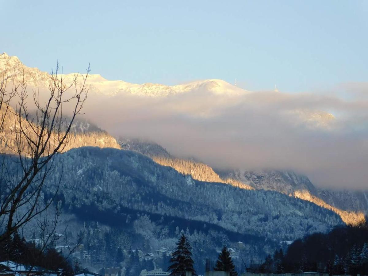 Sinaia Alpineview Residence Bagian luar foto
