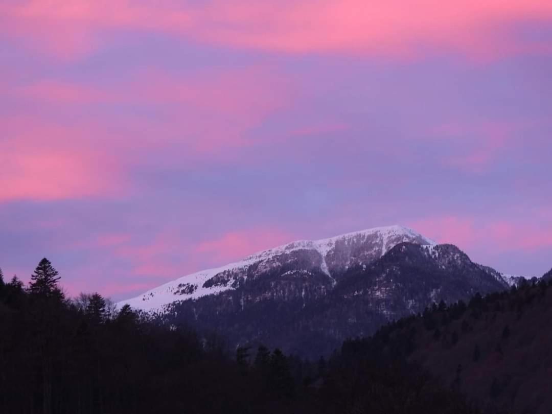 Sinaia Alpineview Residence Bagian luar foto