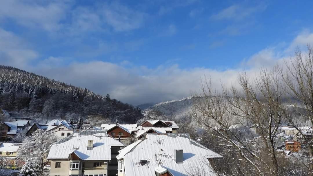 Sinaia Alpineview Residence Bagian luar foto