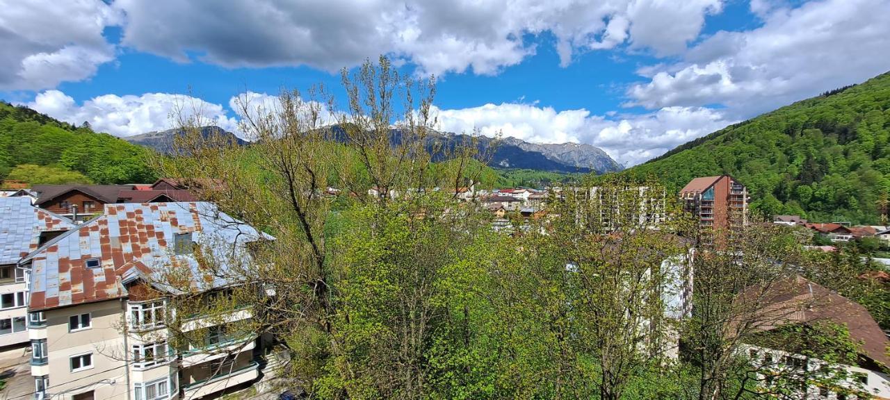 Sinaia Alpineview Residence Bagian luar foto