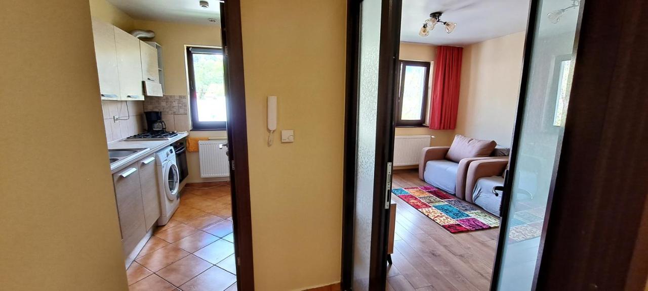 Sinaia Alpineview Residence Bagian luar foto