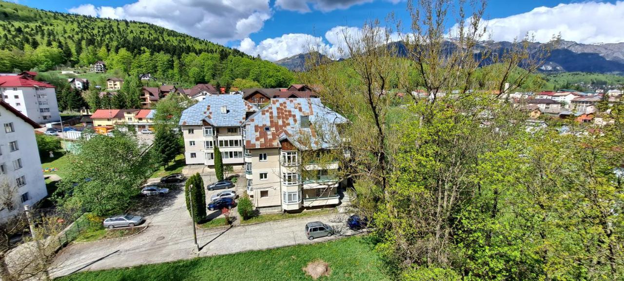 Sinaia Alpineview Residence Bagian luar foto