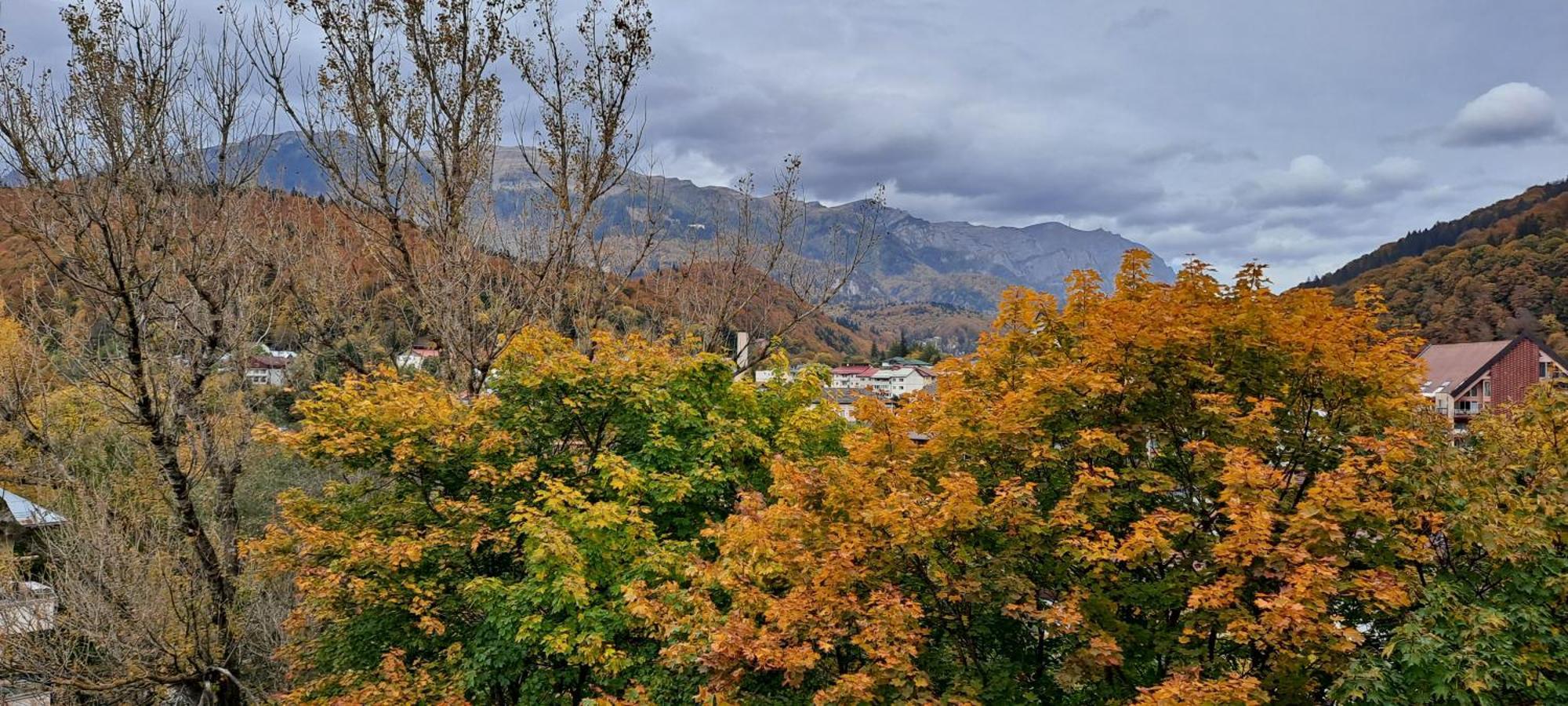 Sinaia Alpineview Residence Bagian luar foto